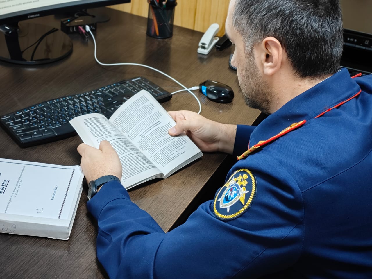 Стая собак загрызла женщину в Буйнакске, возбуждено уголовное дело