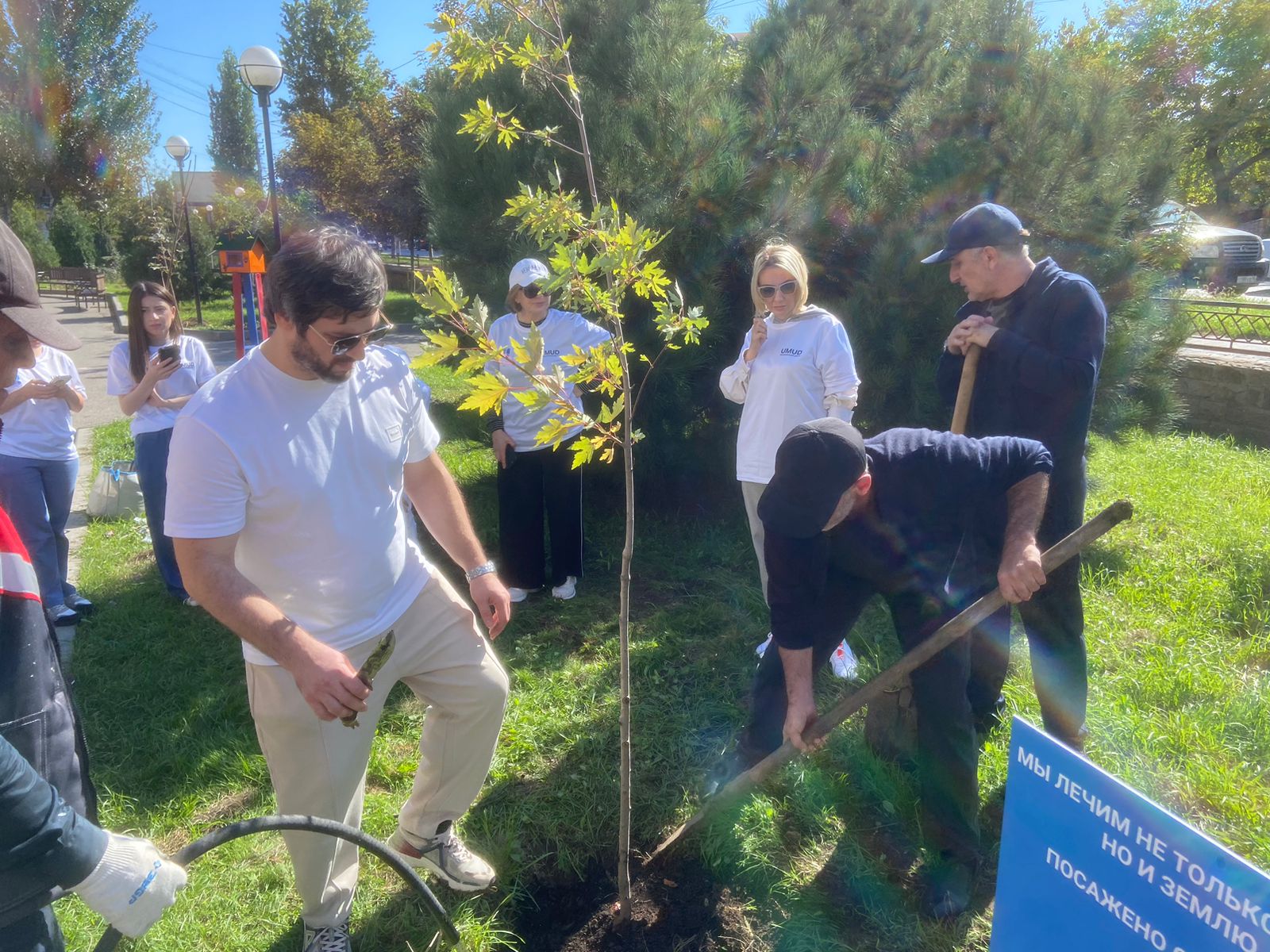 Предприниматели Дагестана поддержали акцию по посадке деревьев партпроекта «Чистая страна»