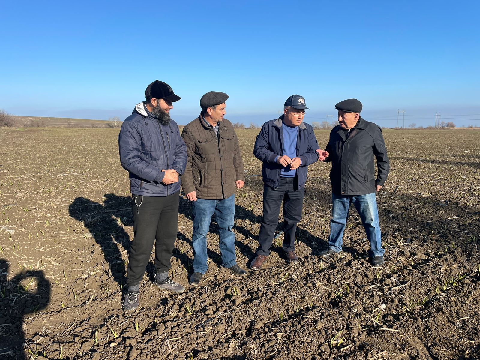 Дагестан лидирует по производству чеснока в России