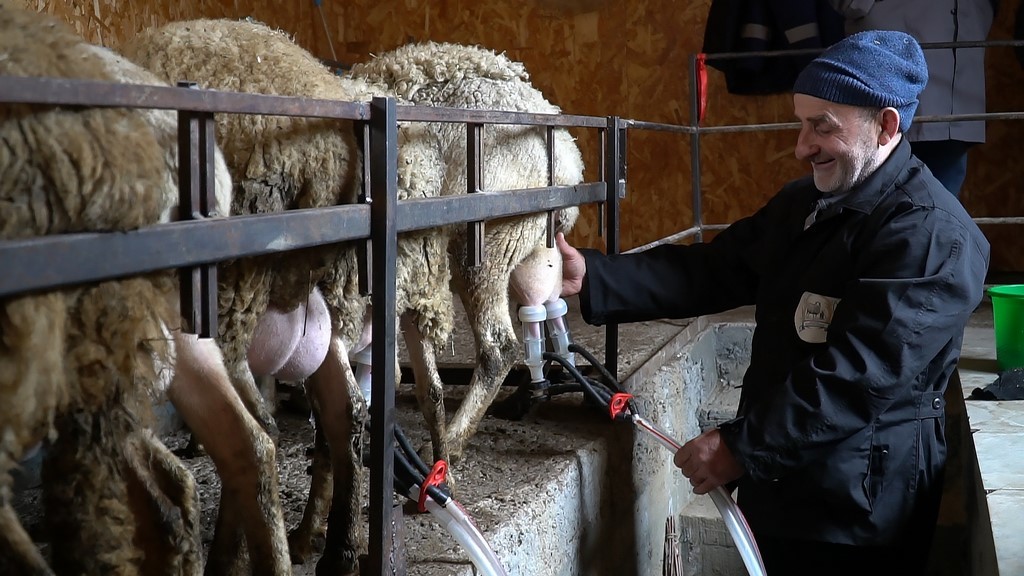 Изображение 2