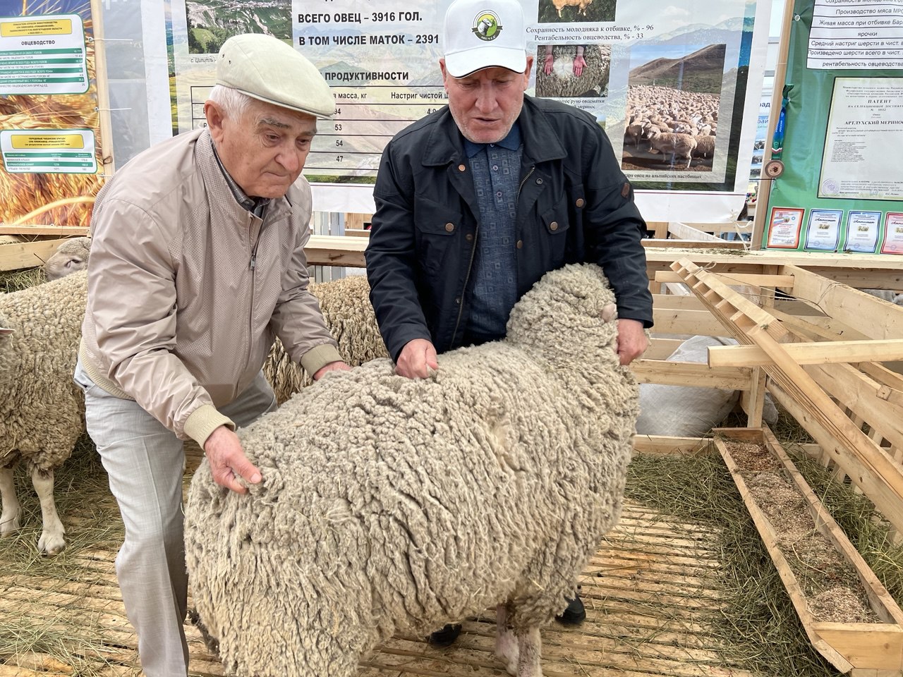 Изображение 2