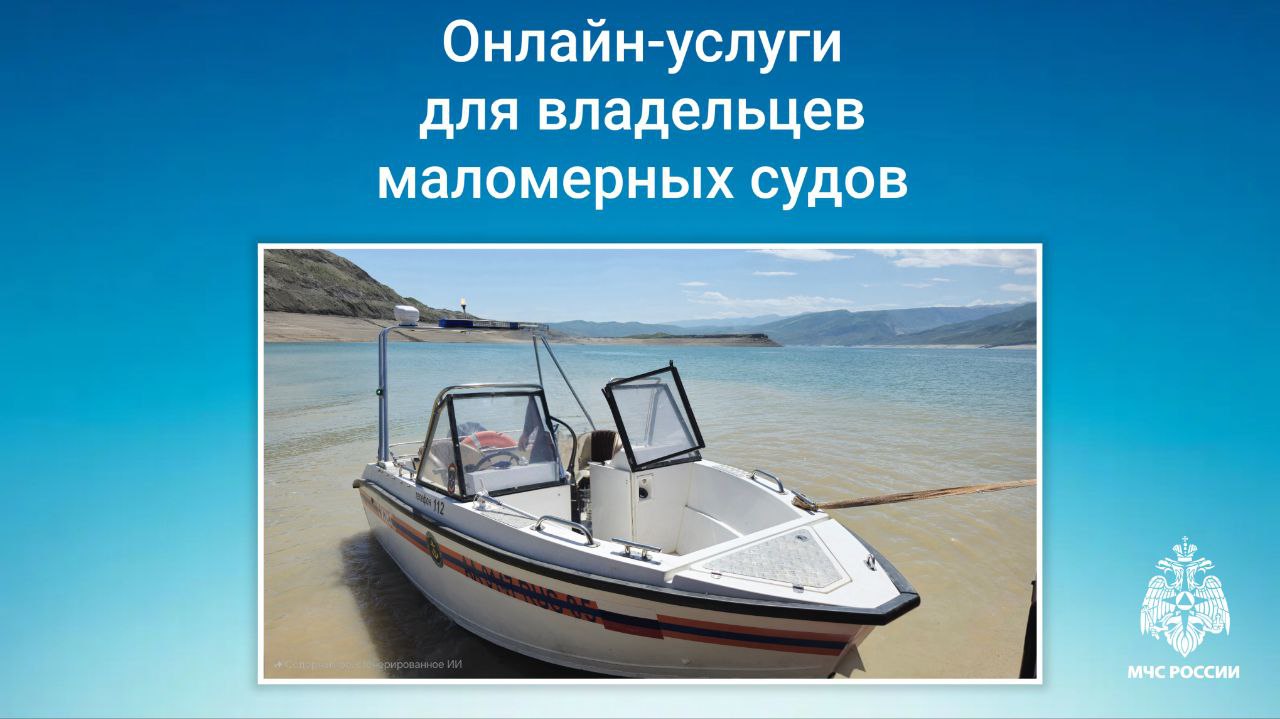 Судовладельцы могут получить государственные услуги в электронном виде – МЧС