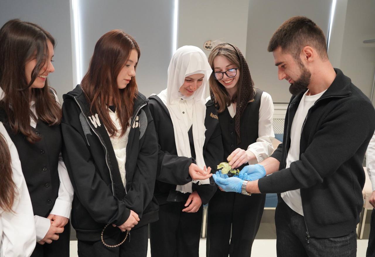 Изображение 4