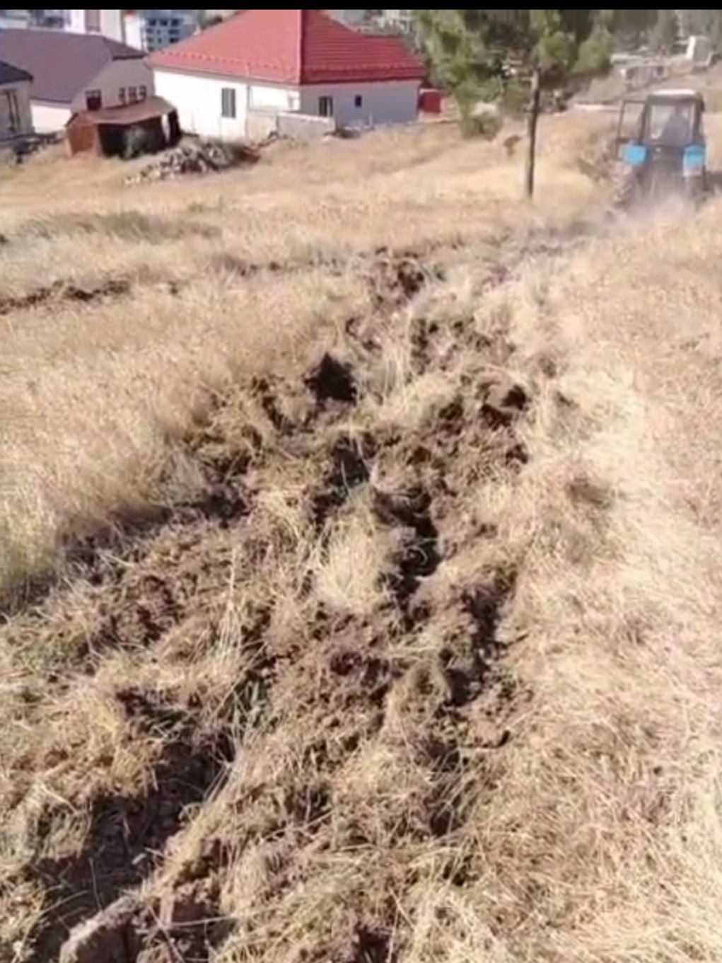 Гору Тарки-Тау в Махачкале обезопасят от огня противопожарными полосами