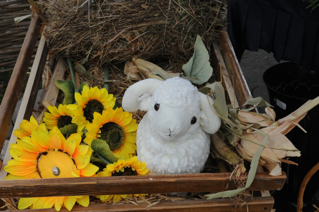 Изображение 9