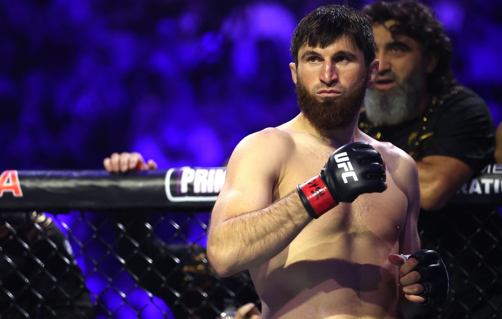 Анкалаев техническим нокаутом проиграл Перейре