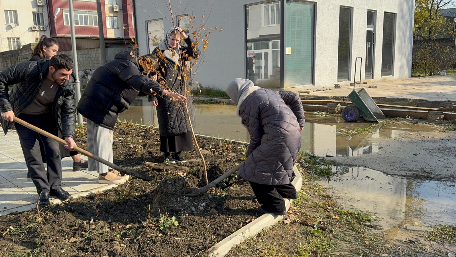 Изображение 2