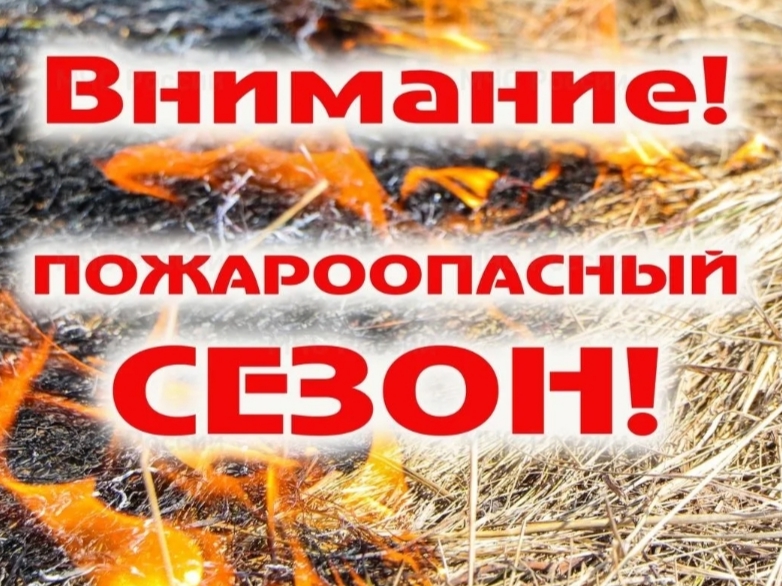 В лесничествах Дагестана объявлен пожароопасный сезон