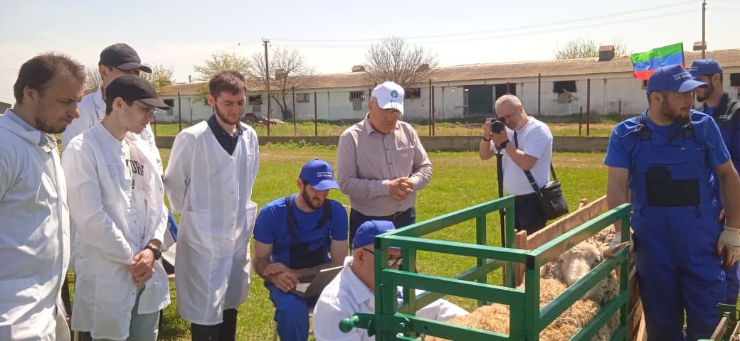 Изображение 1