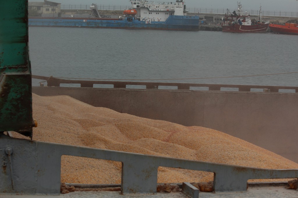 В Дагестане выявлено 28 случаев нарушения при декларировании зерна