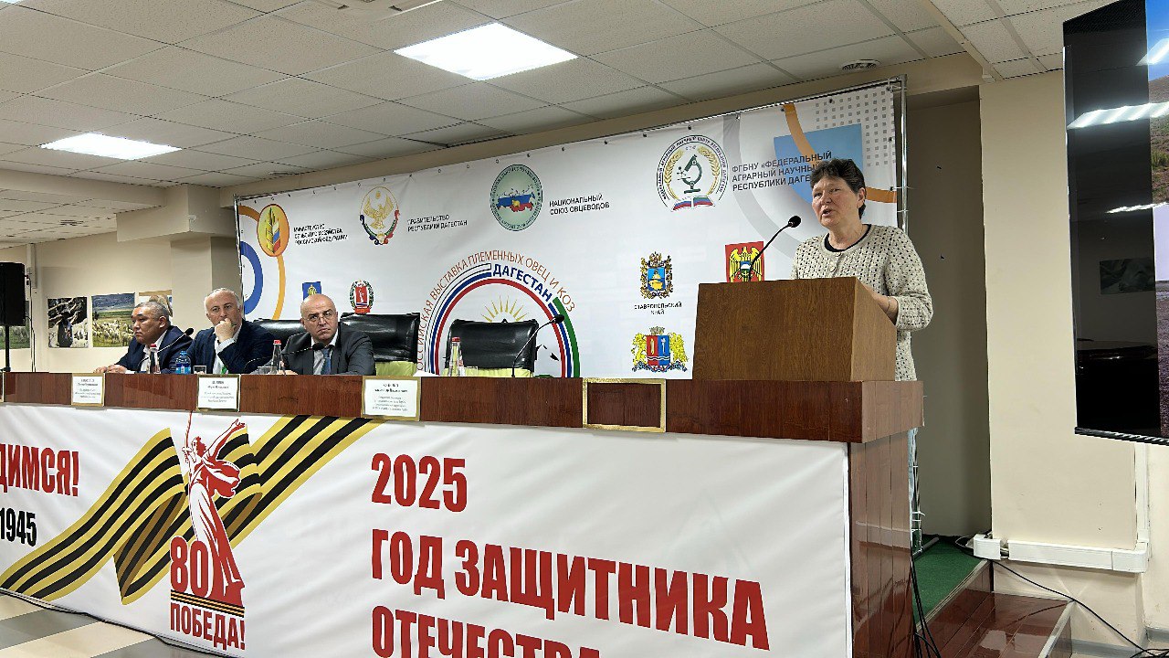 Эксперты в рамках выставки овец в Дагестане обсудили вопросы состояния пастбищ