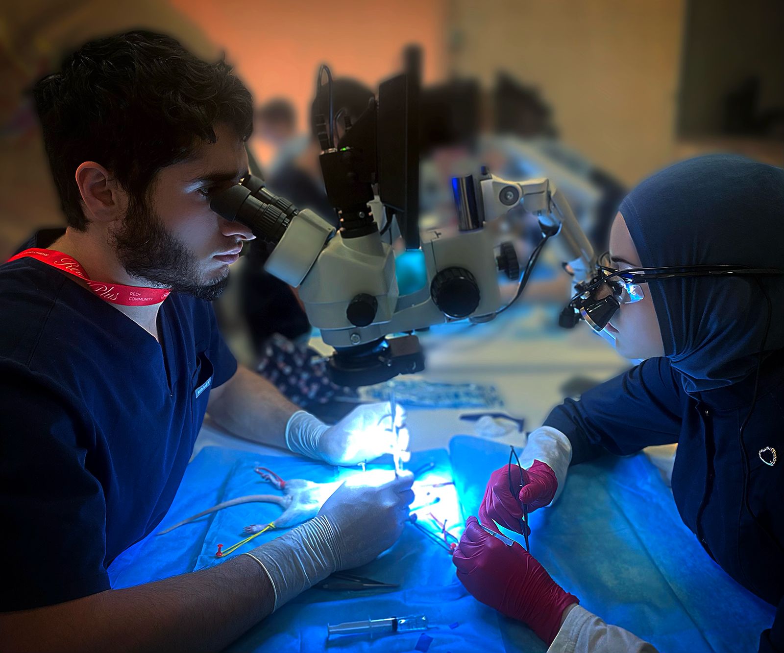 Изображение 2