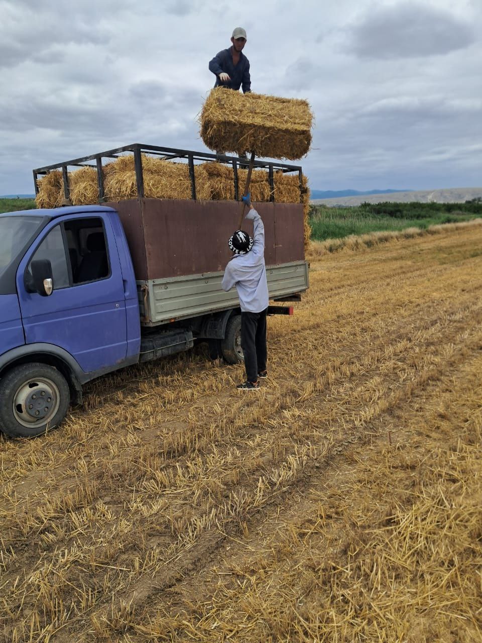 Изображение 1