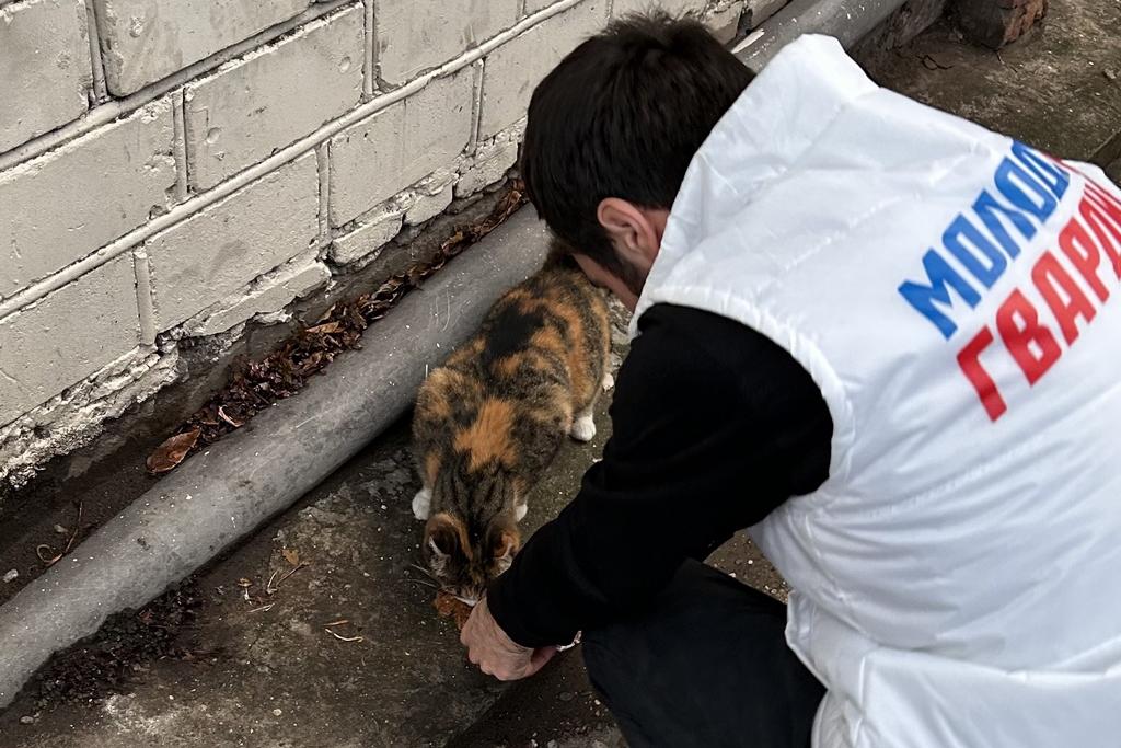 Изображение 3