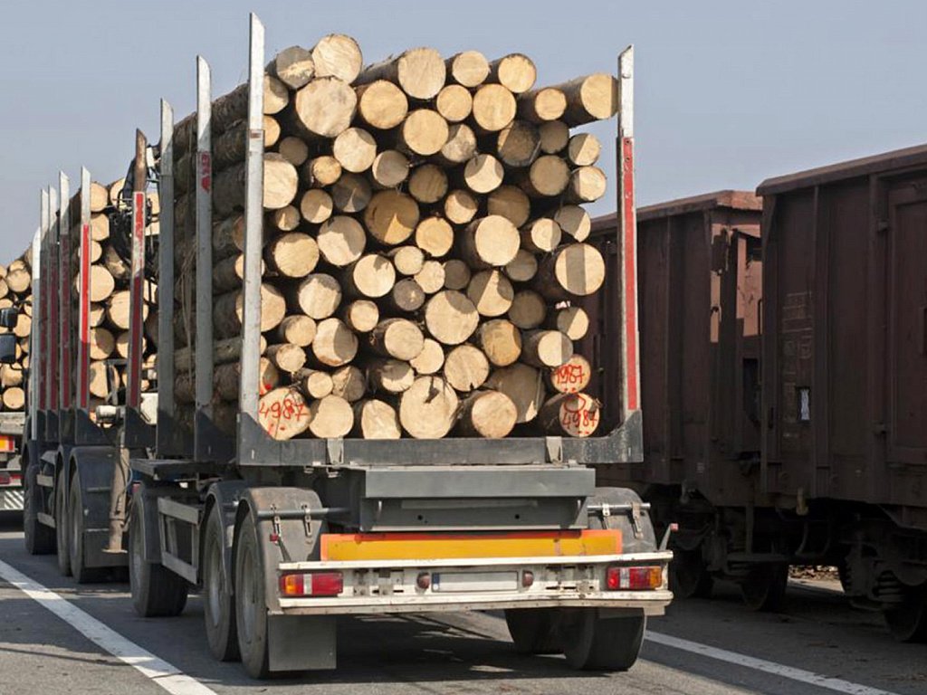 Свыше 200 нарушений при перевозке лесоматериала в Дагестане выявлено Россельхознадзором