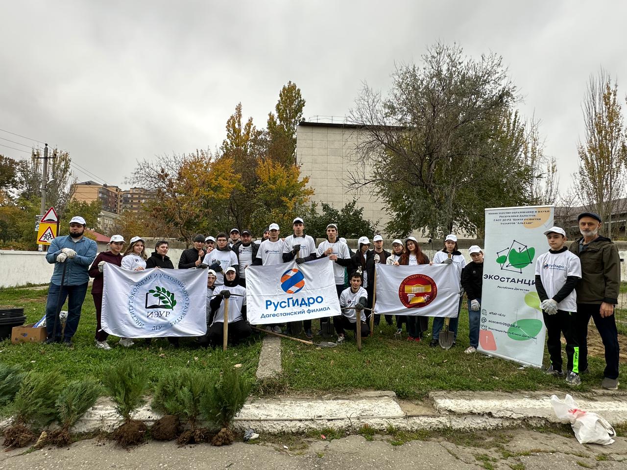 Студенты Института экологии и устойчивого развития ДГУ посадили деревья в Махачкале