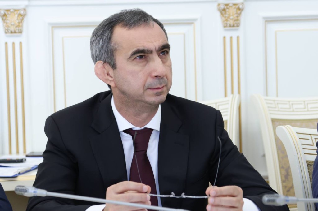 В 2025 году в ЕГРН внесены 493 территориальные зоны Дагестана