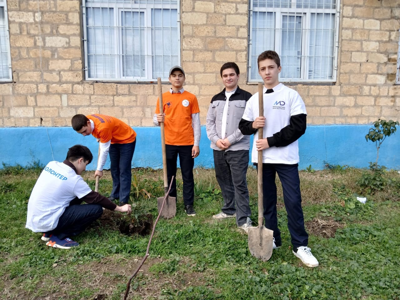 Изображение 1