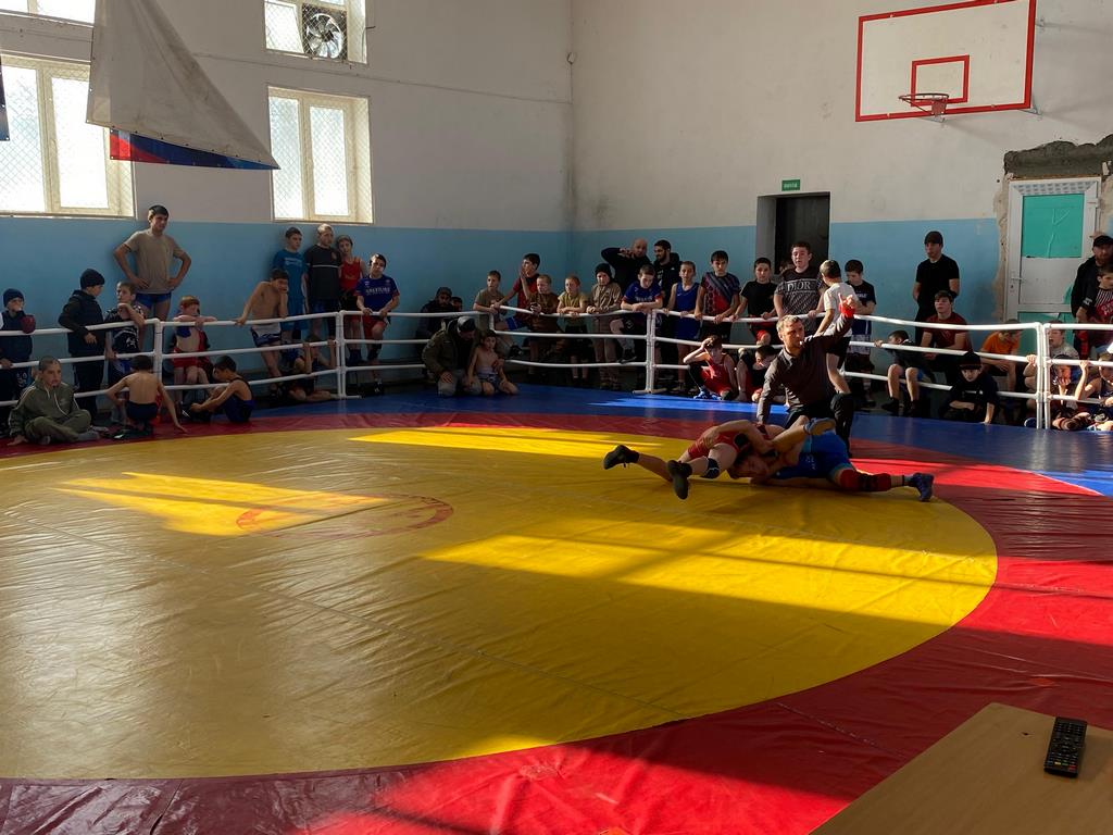 Турнир по вольной борьбе памяти погибших участников СВО прошел в Ахвахском районе