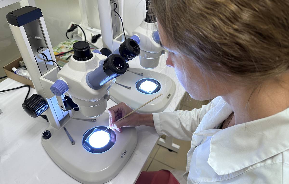 Единственный в РФ онкопрепарат на основе вируса успешно прошел первые испытания