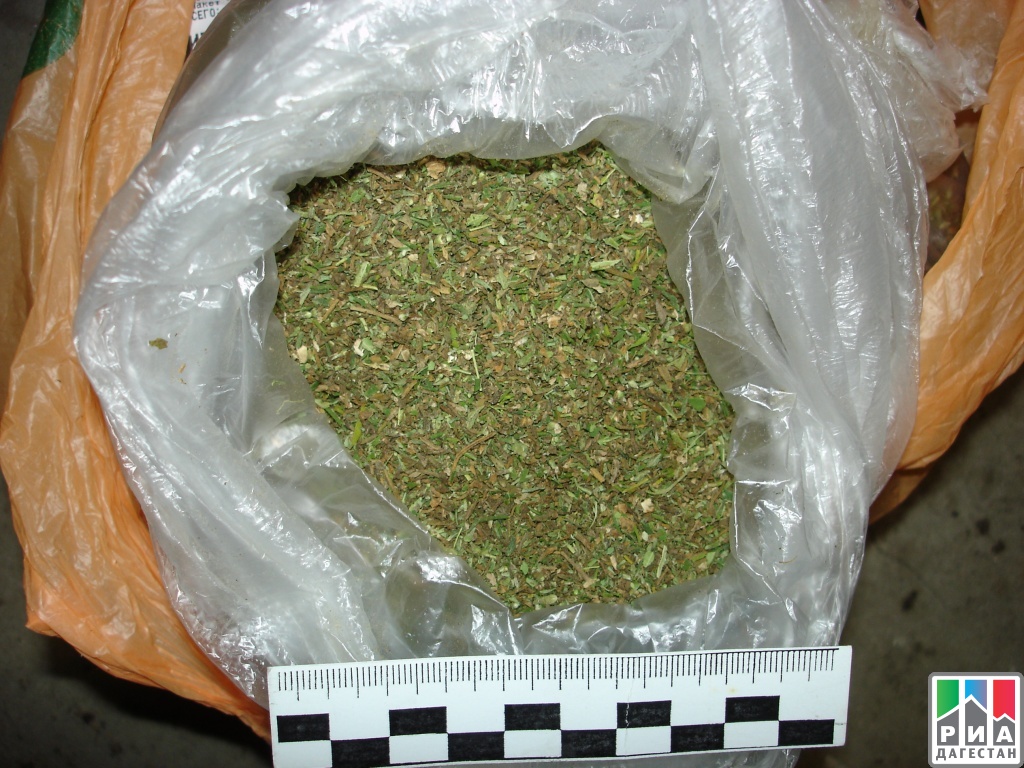 Вес марихуаны в одном пакете тор браузер очистить историю gydra