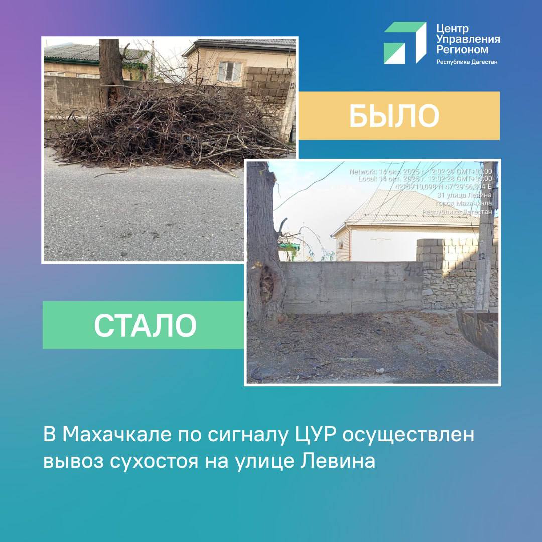 Почти 2000 обращений за неделю: ЦУР Дагестана назвал главные проблемы жителей