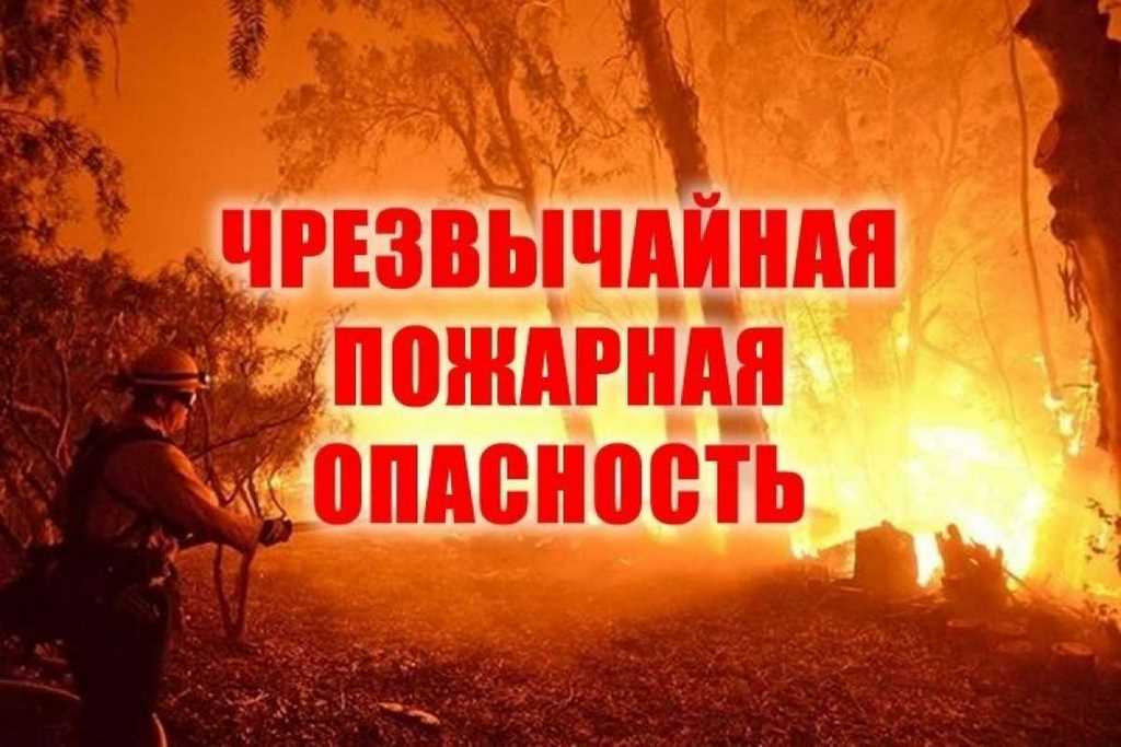 Чрезвычайный класс пожарной опасности ожидается в Дагестане