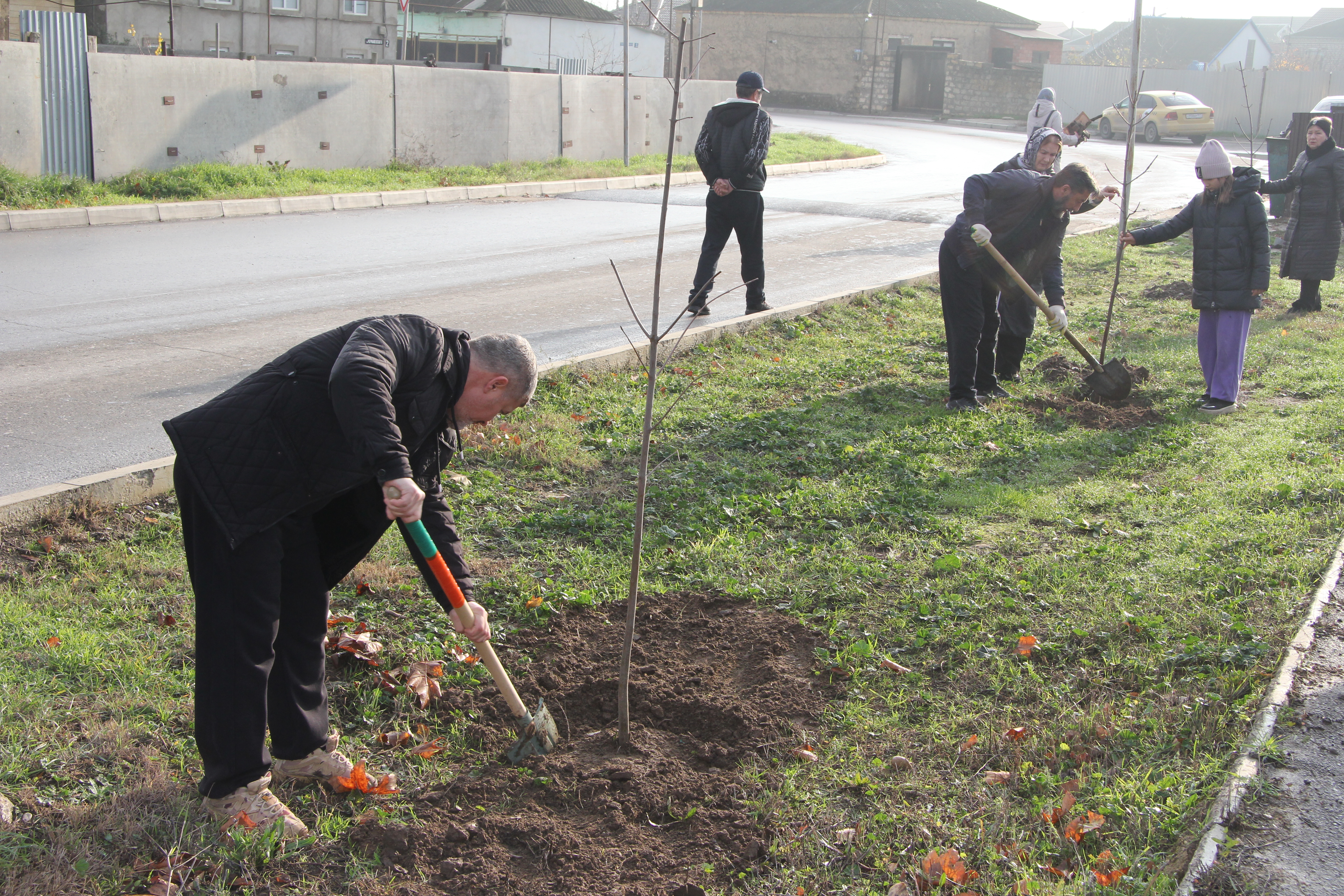 В Избербаше прошла акция по посадке деревьев