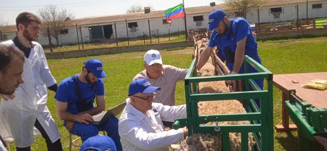 Изображение 2