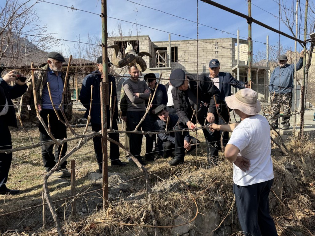 Лучшего обрезчика сада определили в рамках конкурса в Дагестане