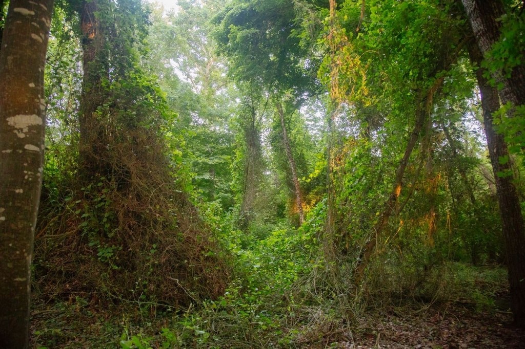 На черном пляже возле Самурского леса расширено покрытие LTE