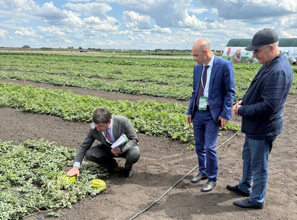 Изображение 3