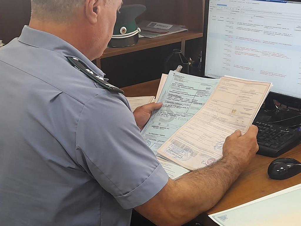 Россельхознадзор выявил 325 нарушений при содержании мелкого рогатого скота в Дагестане