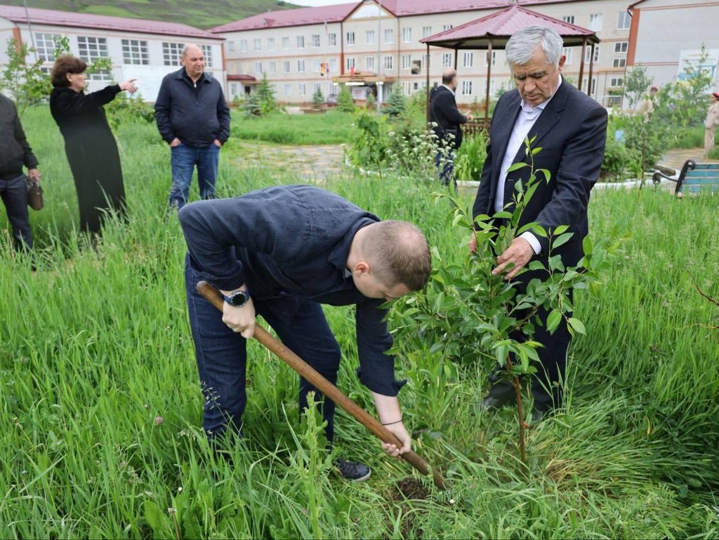 Изображение 3