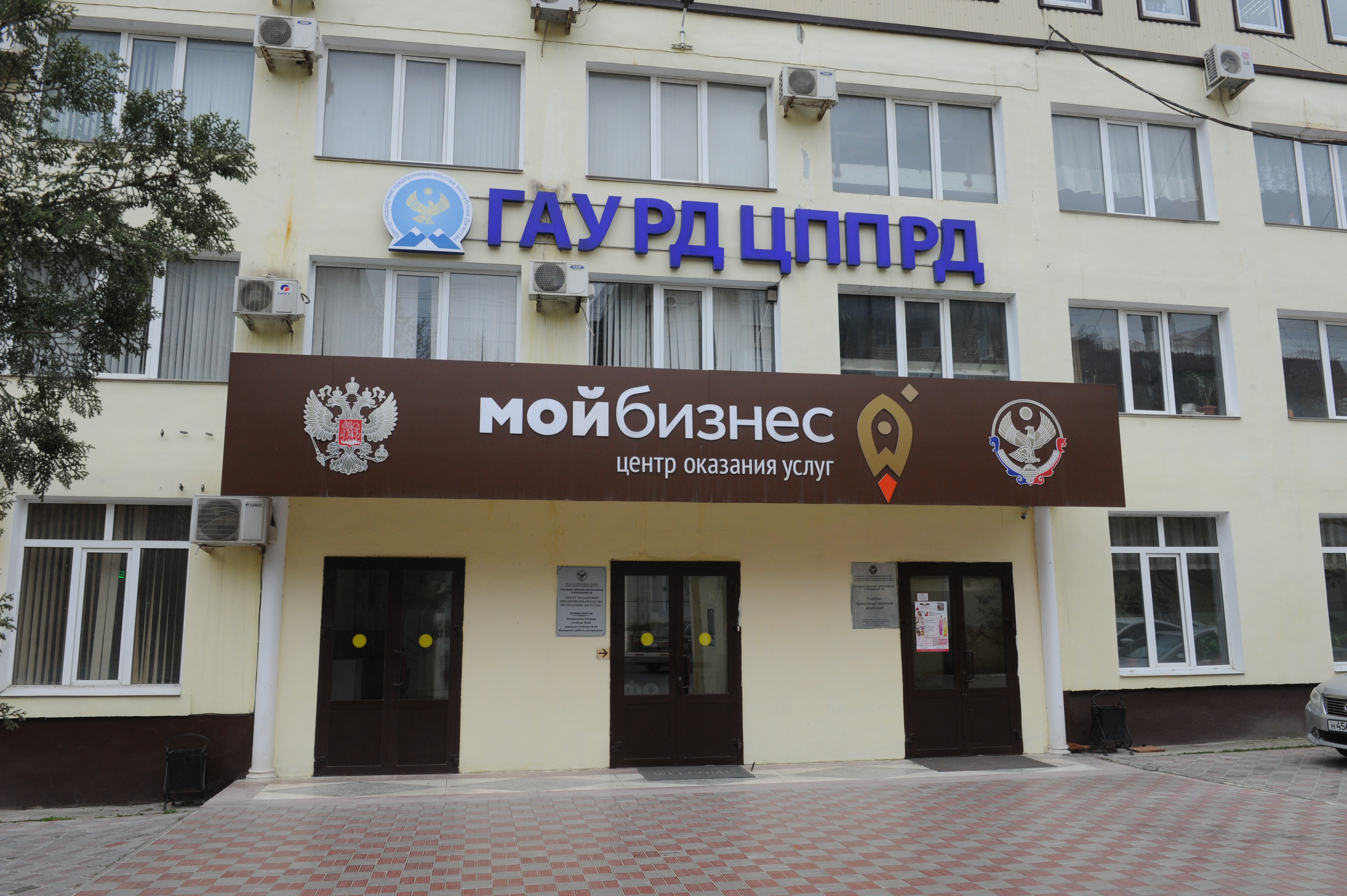 Дагестан вошел в топ-3 регионов РФ по приросту числа малого и среднего бизнеса с начала 2025 г