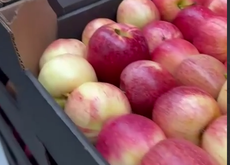 Дагестанское хозяйство направило в зону СВО 20 тонн яблок