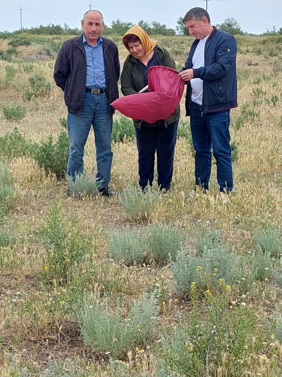 В Дагестане приграничные с Чечней земли проверили на наличие саранчи