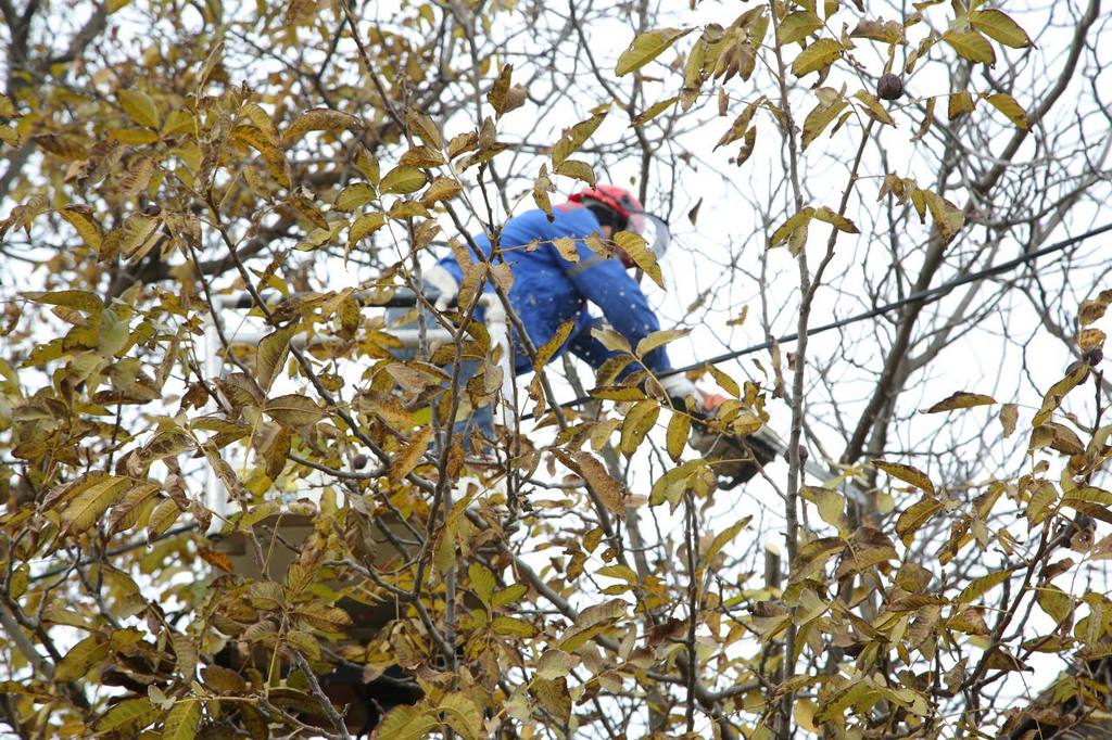 В Дагестане целый район на время обесточат из-за ремонтных работ