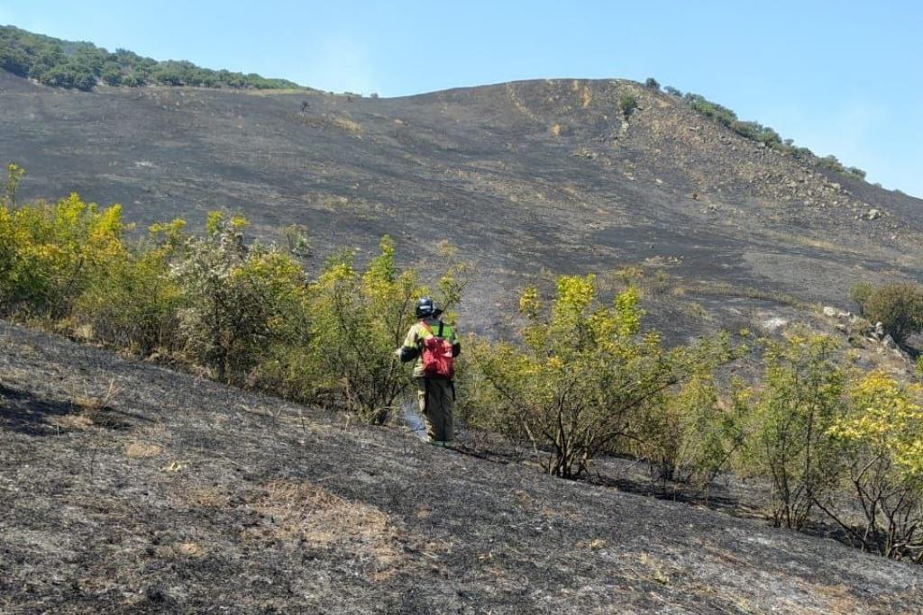 В Карабудахкентском районе горит сухая трава