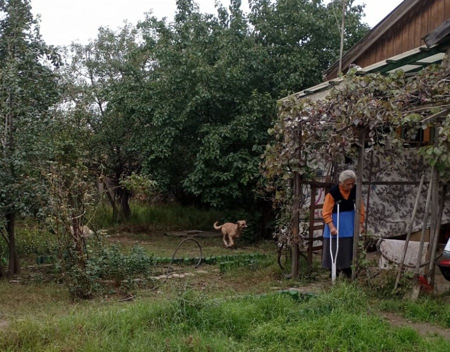 В Каспийске отловили 11 бездомных собак по обращению местной жительницы