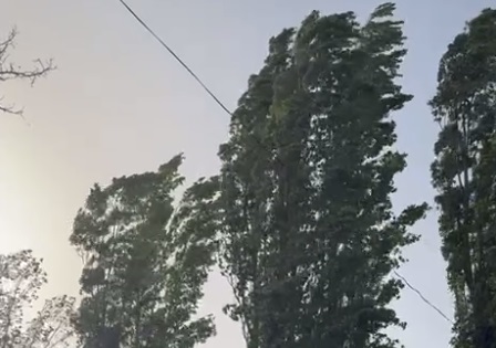 В Дагестане прогнозируется усиление ветра по низменным районам – МЧС