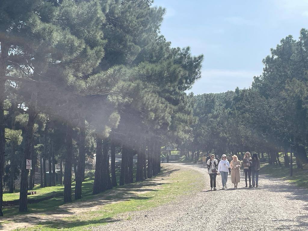 В Дербенте благоустроят природно-исторический парк «Сосновый бор»