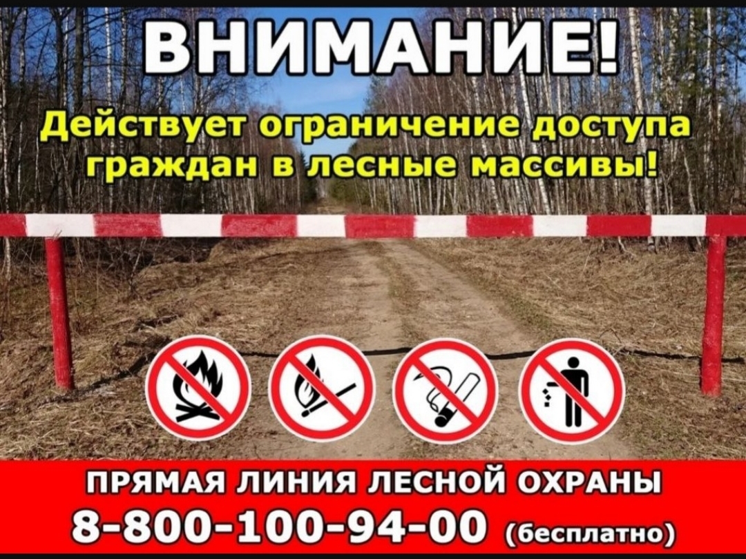 В Дагестане из-за пожарной опасности введут КПП на въездах в леса