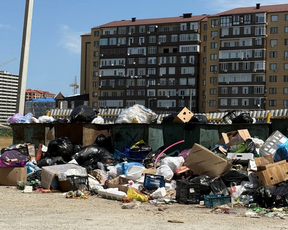 Минприроды Дагестана подсчитало точное число недостающих контейнеров для мусора