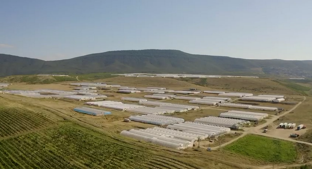 Более 2,5 млрд рублей вложено в проекты теплиц в Карабудахкентском районе