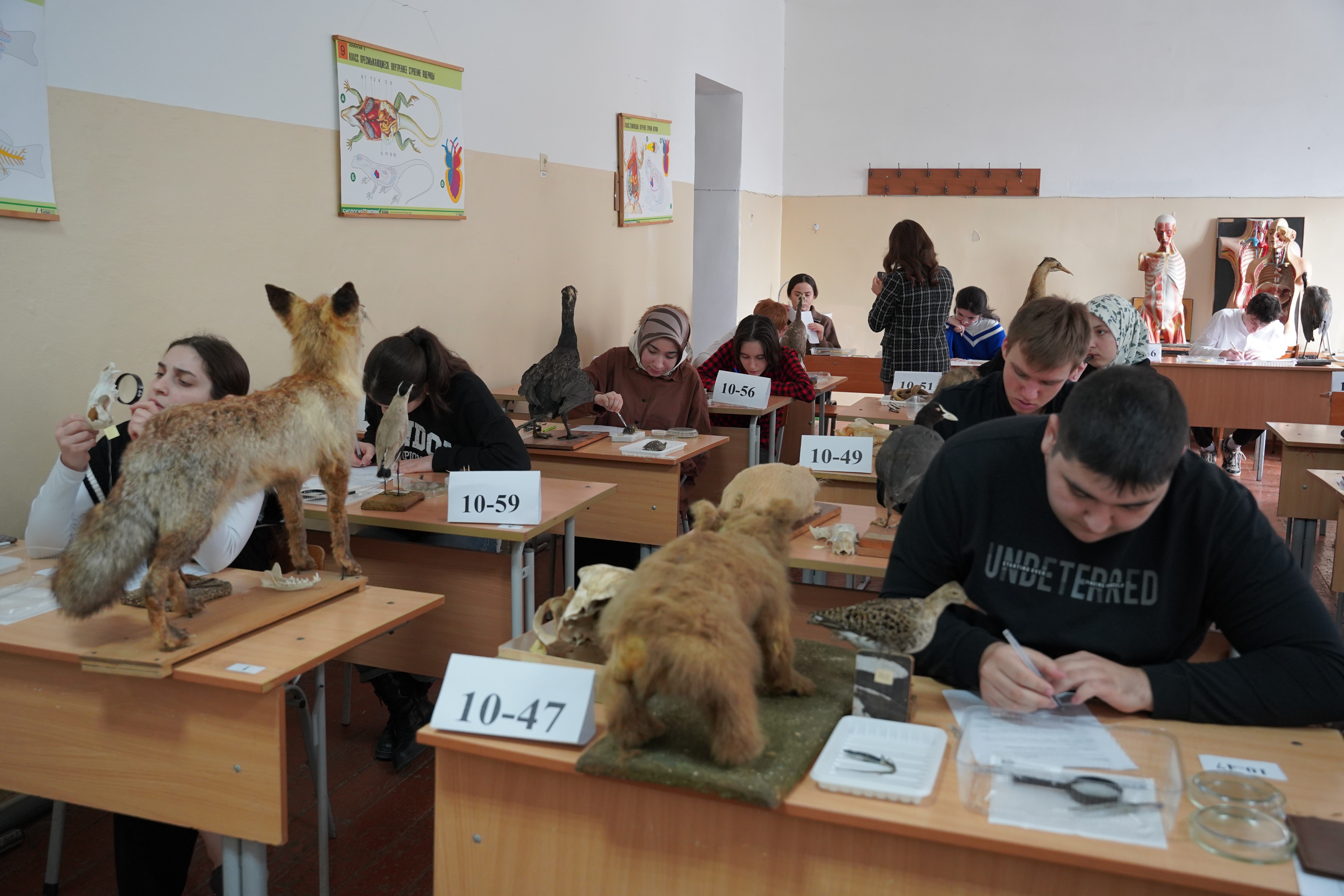 Изображение 1