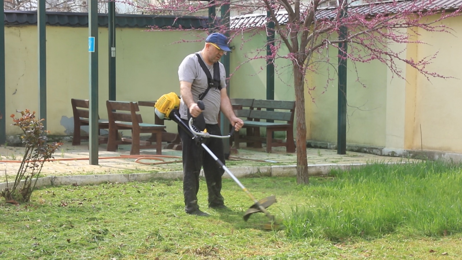Коллектив Минтруда Дагестана принял участие в общегородском субботнике