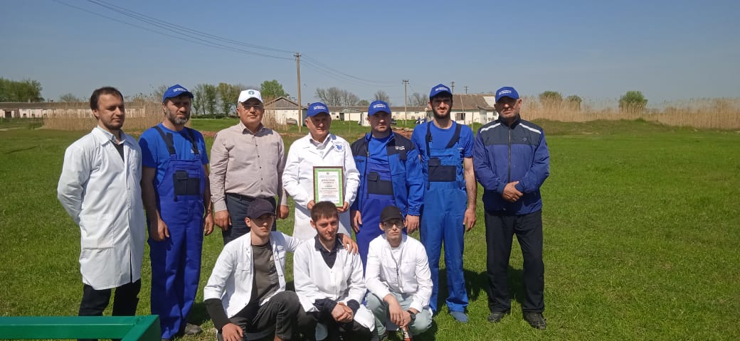 Научные разработки способствуют развитию овцеводства в Дагестане