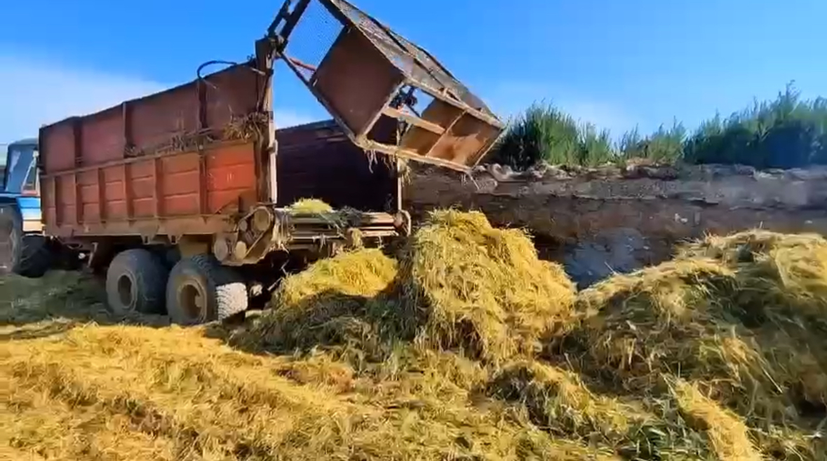 В Казбековском районе началась заготовка кормов на зимний период