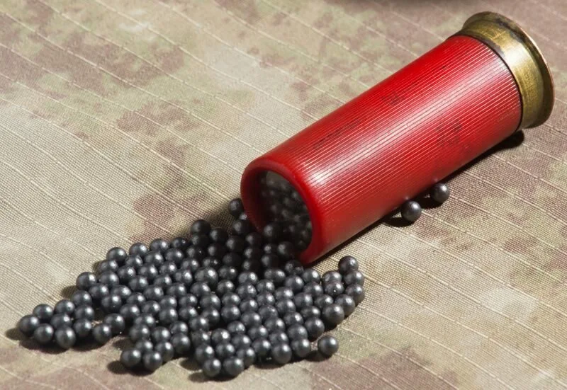 В Дагестане мужчина, пытаясь напугать бродячую собаку, ранил дробью племянника